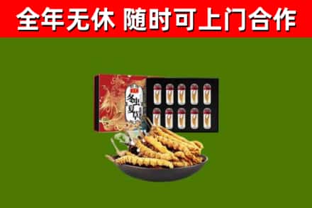 琼海烟酒回收冬虫夏草礼盒.jpg
